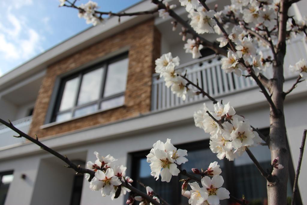 Haus Renee Bed & Breakfast โพเดอร์สดอร์ฟ อัม ซี ภายนอก รูปภาพ